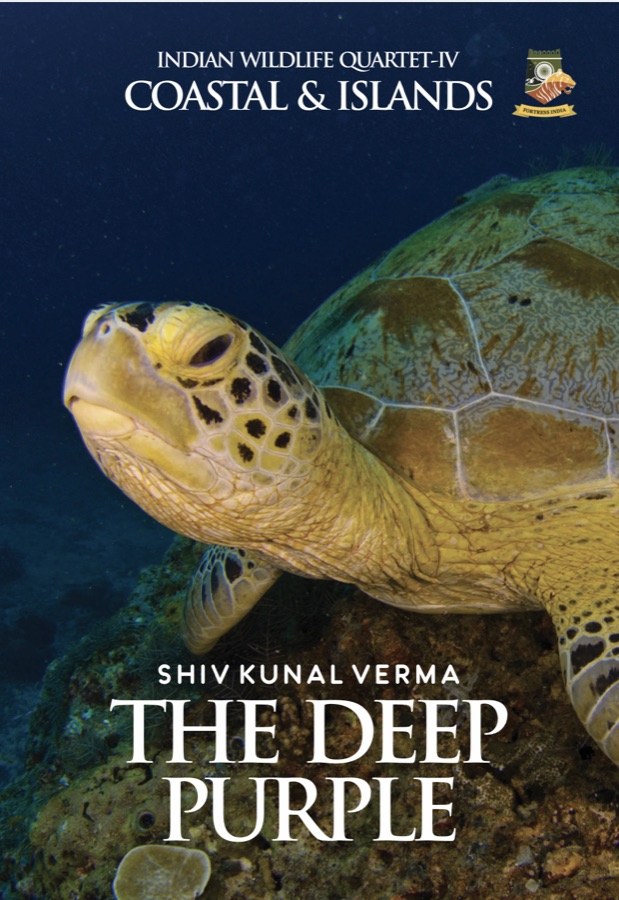Front cover of The Deep Purple