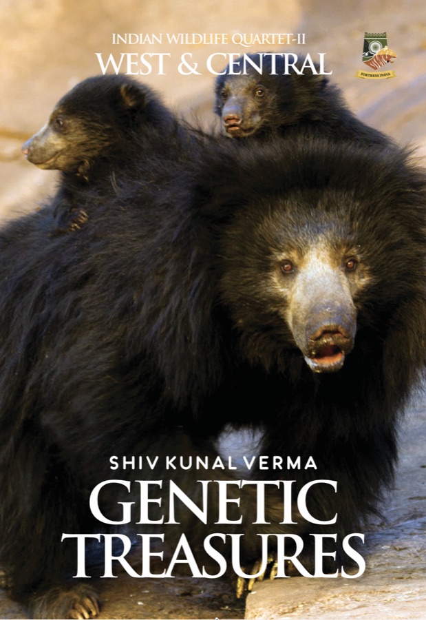 Front cover of Genetic Treasures