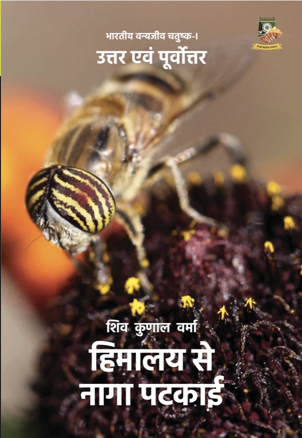 Front cover of the Hindi edition of Ghosts in Shadows