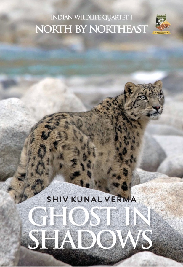 Front cover of Ghosts in Shadows