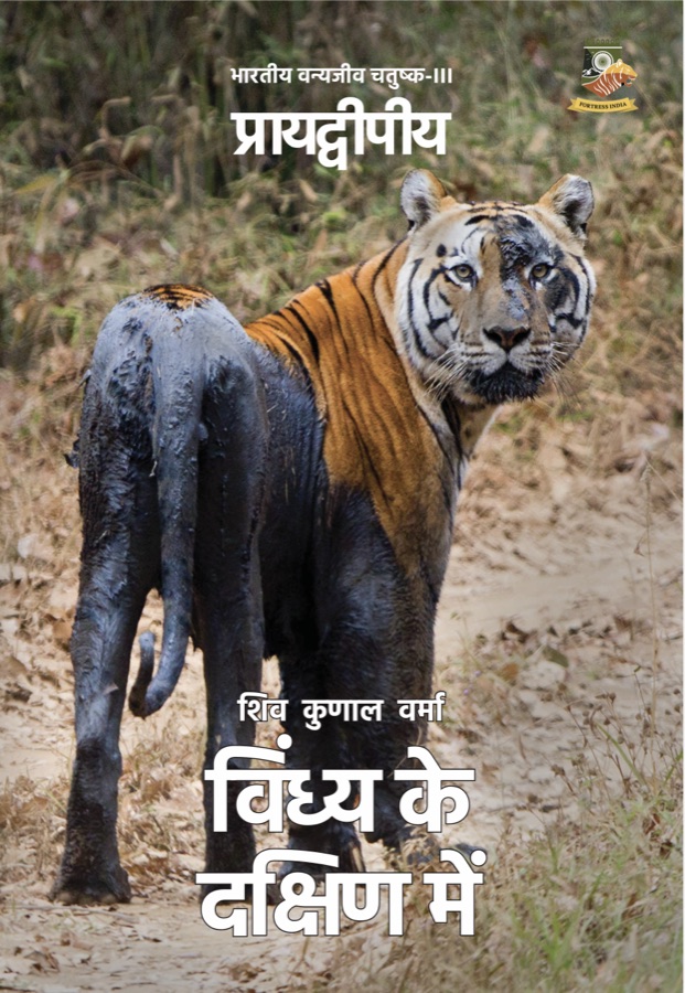 Front cover of the Hindi edition of South of Vindhyas