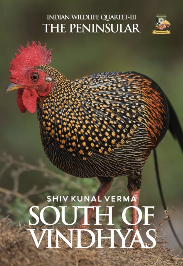 Front cover of South of Vindhyas